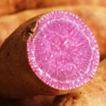 【大肚山-紅土種植】紫芋地瓜分享箱